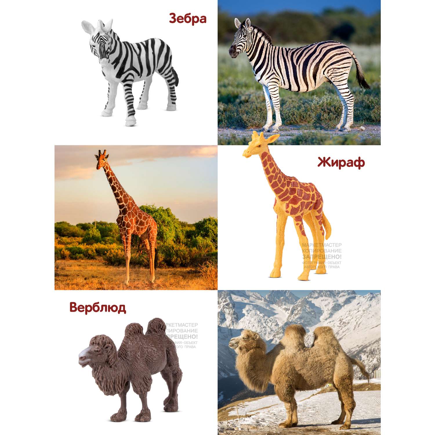 Игровой набор детский КОМПАНИЯ ДРУЗЕЙ Животные Африки фигурки 6 шт JB0207202 - фото 3