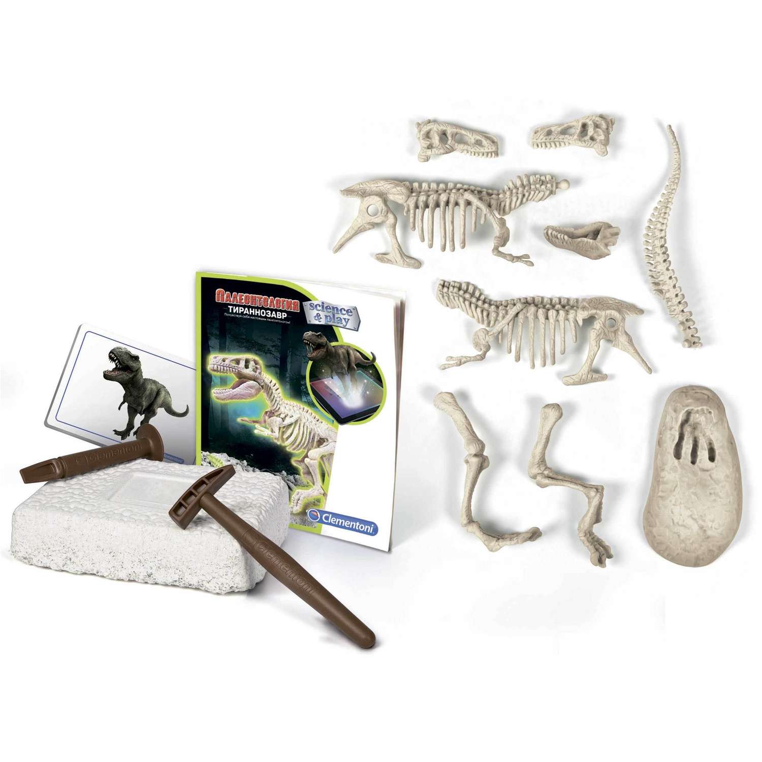 Набор археологический Clementoni Скелет тираннозавра 50630 - фото 3