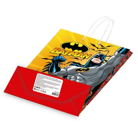 Пакет подарочный ND PLAY Batman 22*31*10см 280577