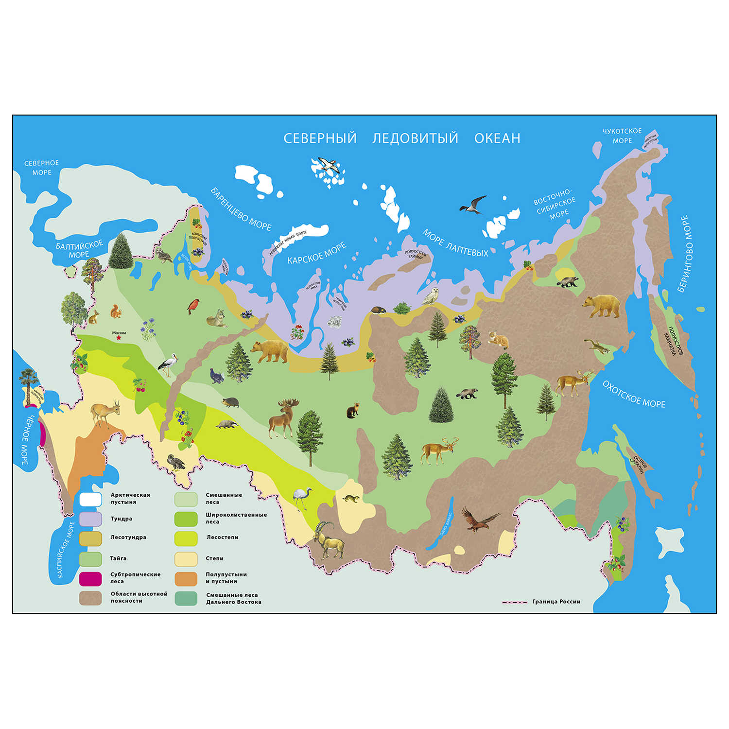 Окружающий мир. Природные зоны России. 1-4 классы: Таблица-плакат 420х297