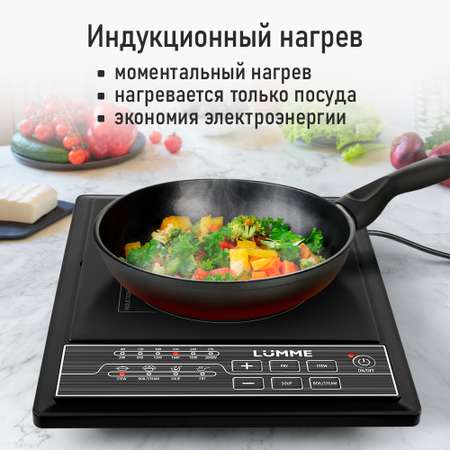 Индукционная безимпульсная электроплитка LUMME LU-HP3646A черный