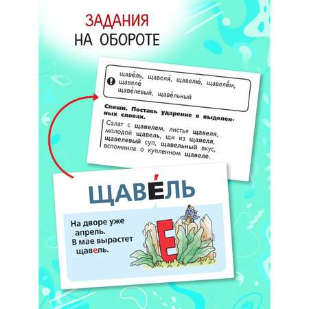 Настольная игра Hatber Наглядные пособия для детей