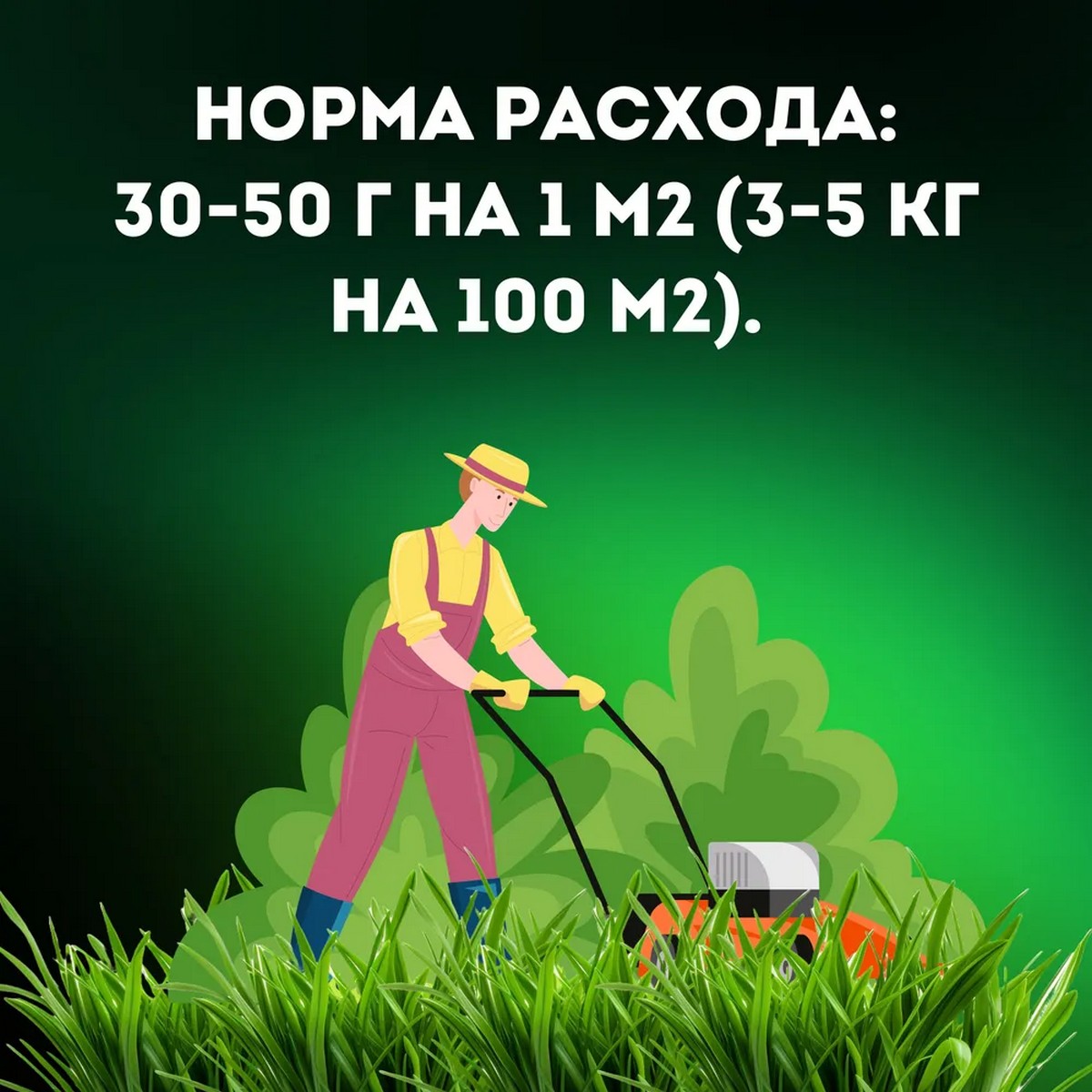 Семена газонных трав АгроСидсТрейд газон Универсальный 10 кг - фото 6