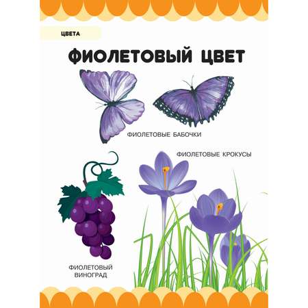 Книга Харвест Цвета. Умный малыш