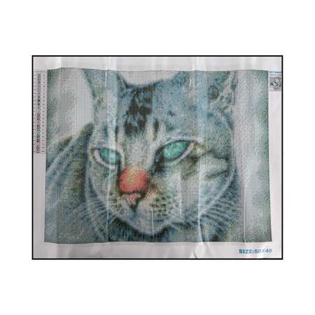 Алмазная мозаика Seichi Европейская кошка 40х50 см