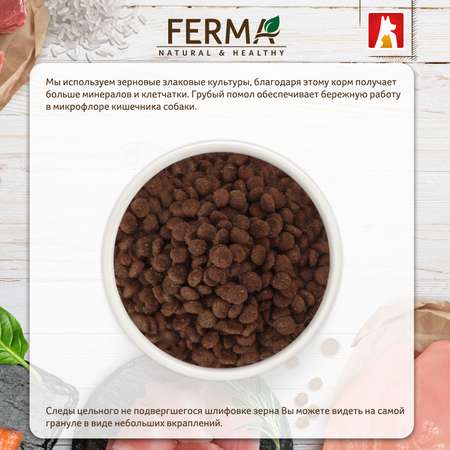 Корм сухой Зоогурман Ferma Hypoallergenic Индейка 1,5 кг