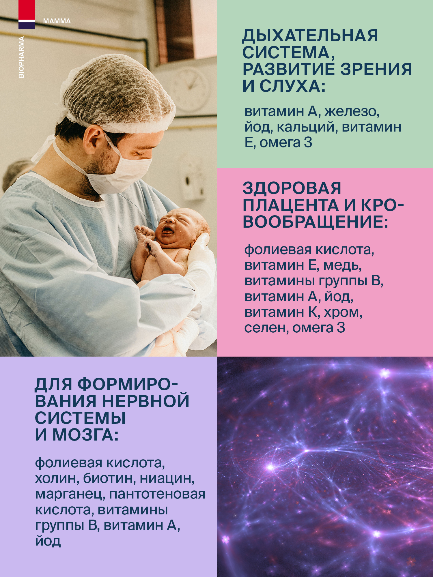 Витамины и минералы + Омега 3 Biopharma Mamma Витамины и минералы для беременных и кормящих мам с Омега 3 - фото 11