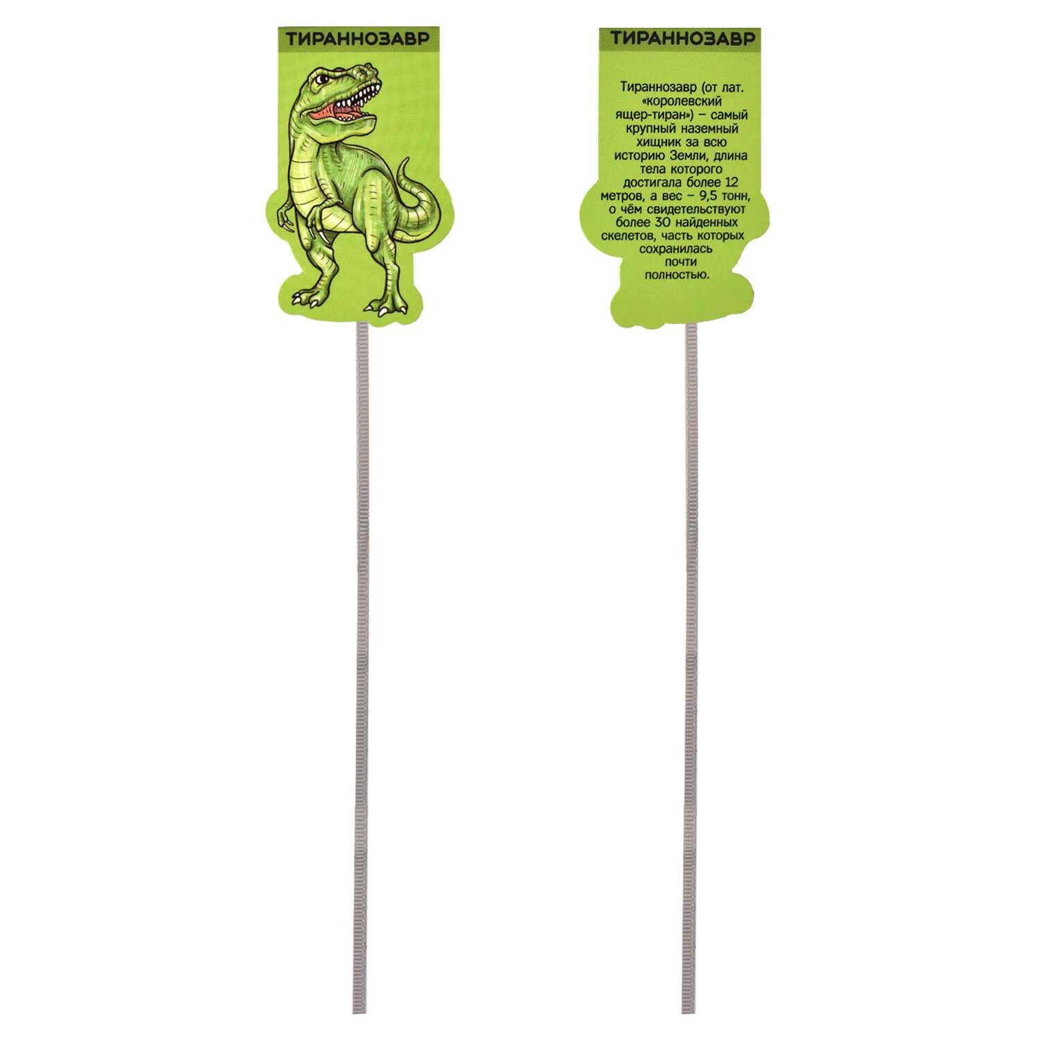 Закладки магнитные ФЕНИКС+ для книг Ляссе Динозавры - фото 4