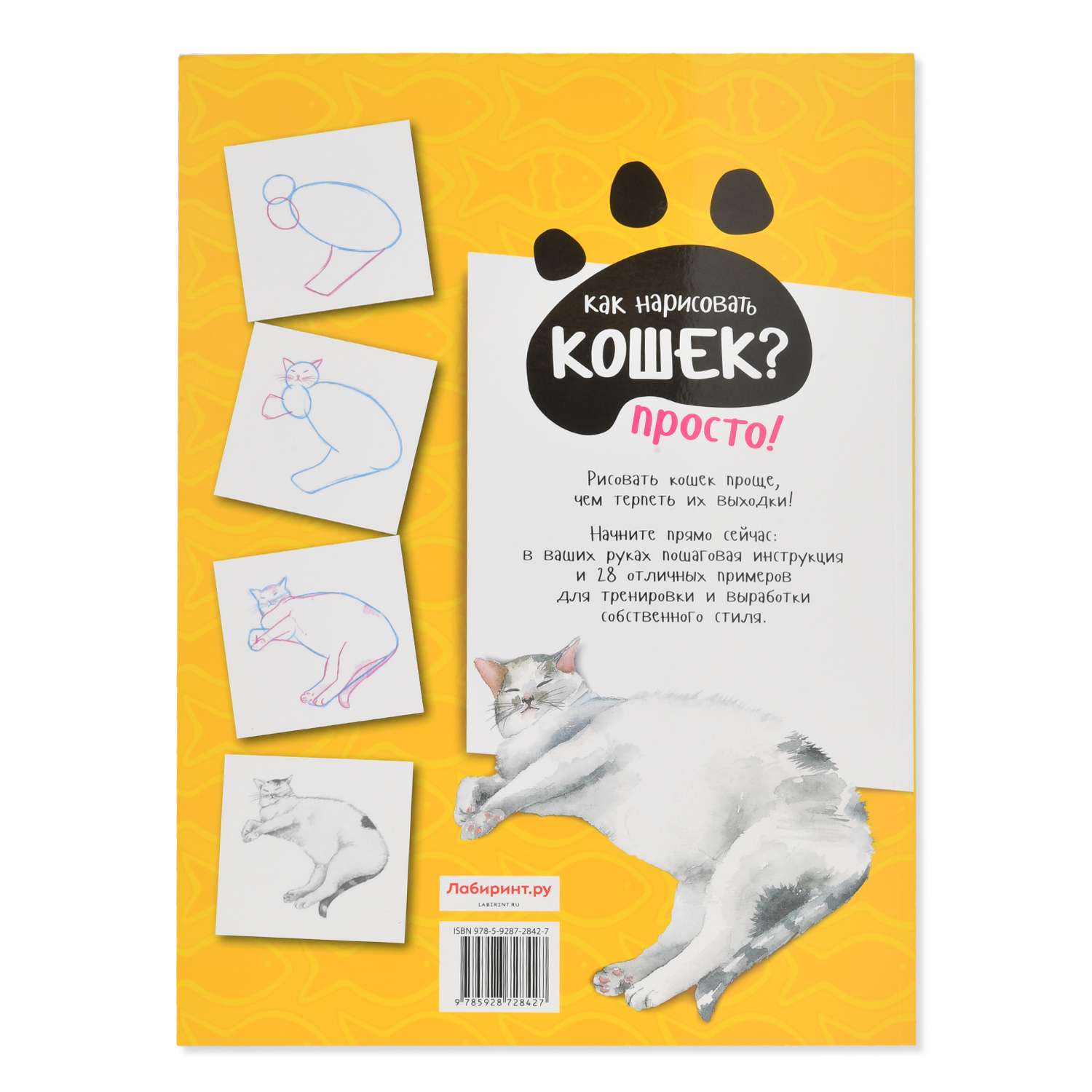 Раскраска Лабиринт Как нарисовать кошек Просто 5 шагов 28 пород советы примеры инструкции - фото 3