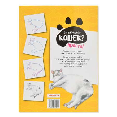 Раскраска Лабиринт Как нарисовать кошек Просто 5 шагов 28 пород советы примеры инструкции