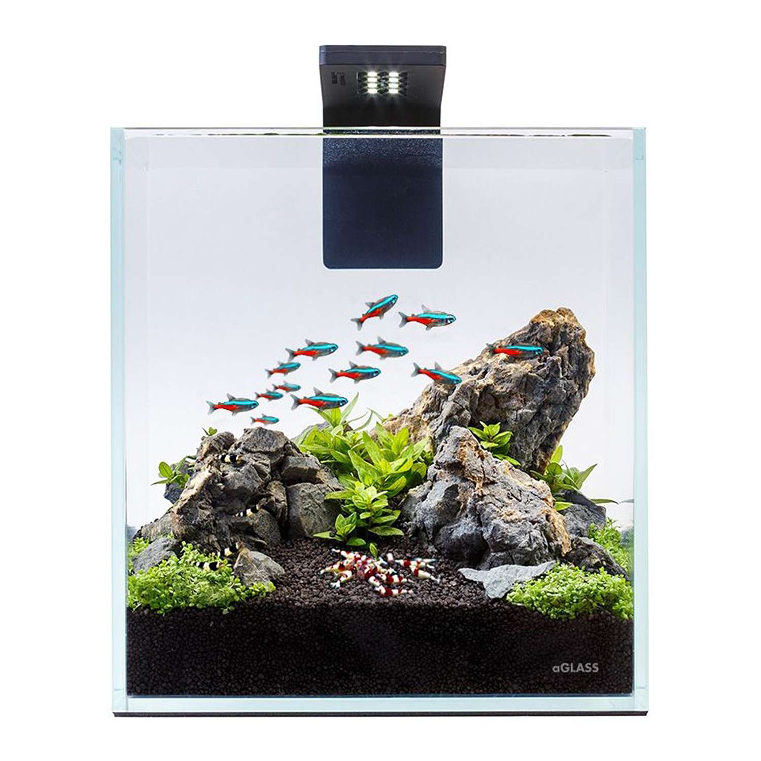 Набор аквариумный AquaLighter Nano Soft 10л - фото 5
