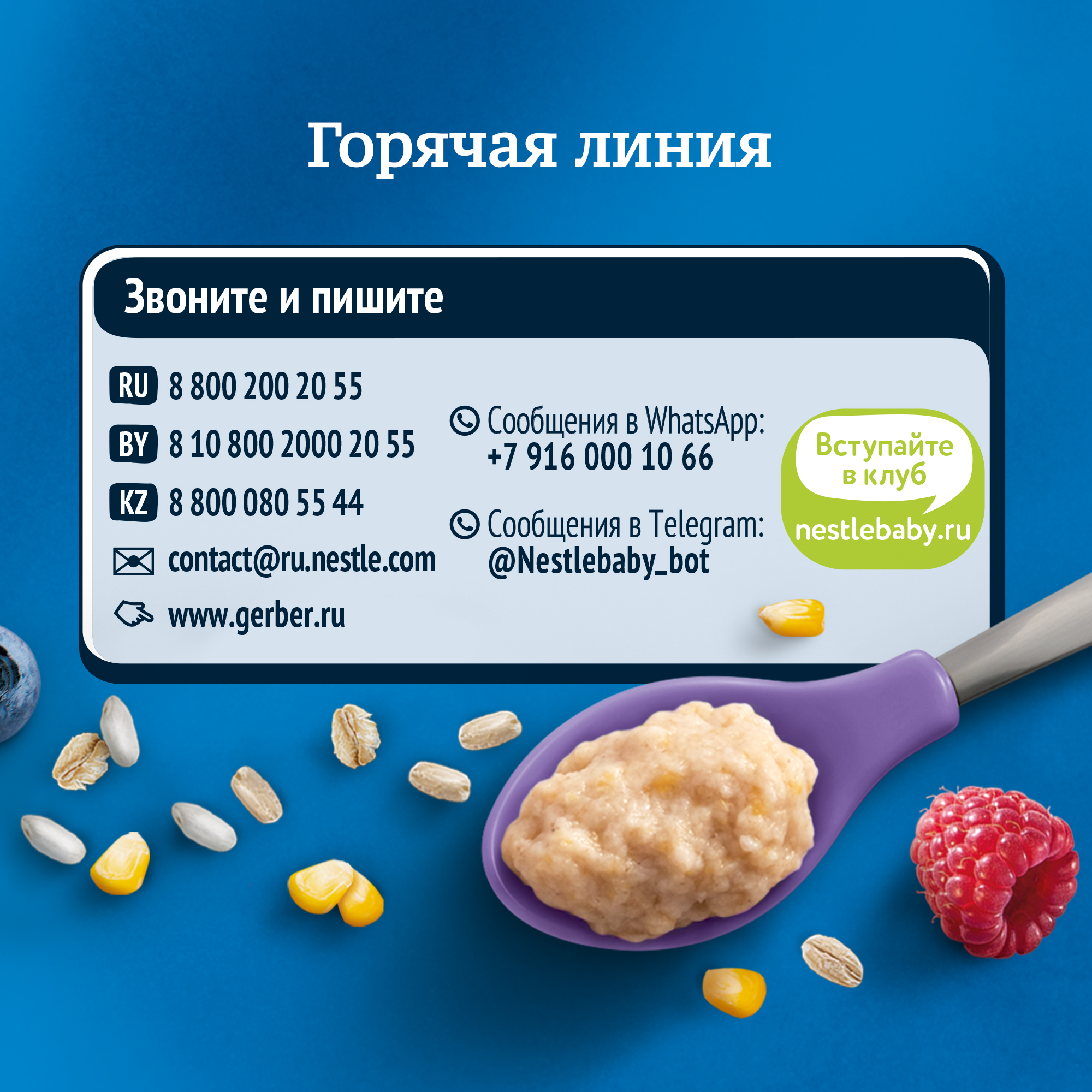 Каша молочная Gerber мультизлаковая с черникой и малиной 180г с 6месяцев  купить по цене 199 ₽ в интернет-магазине Детский мир