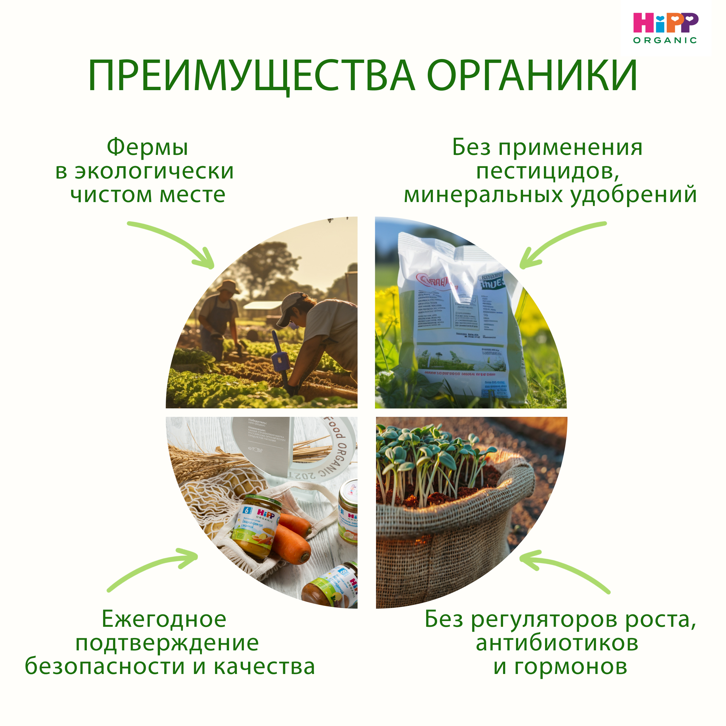 Пюре Hipp цветная капуста 80г с 4месяцев - фото 4