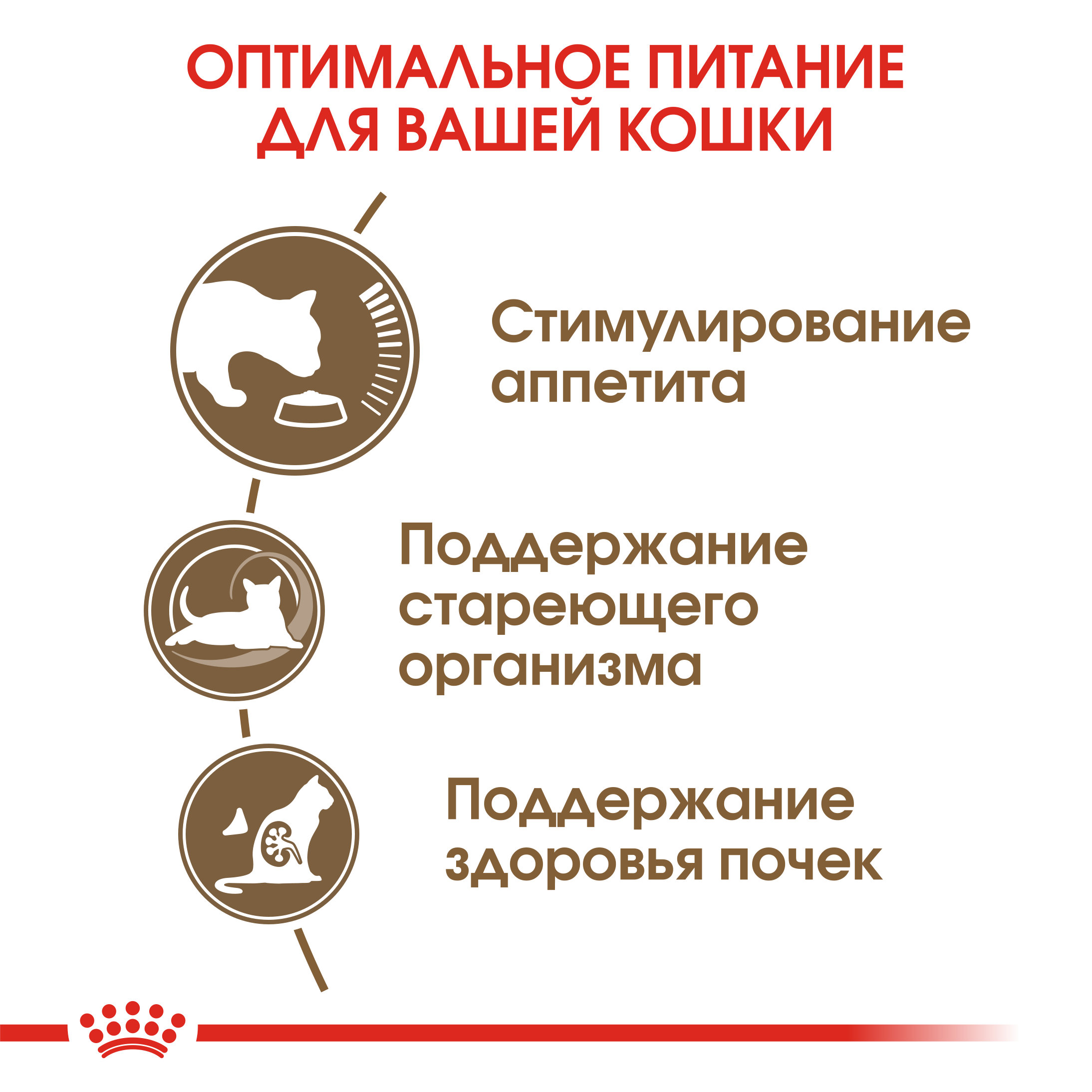 Корм сухой для пожилых кошек ROYAL CANIN Ageing 4кг - фото 6
