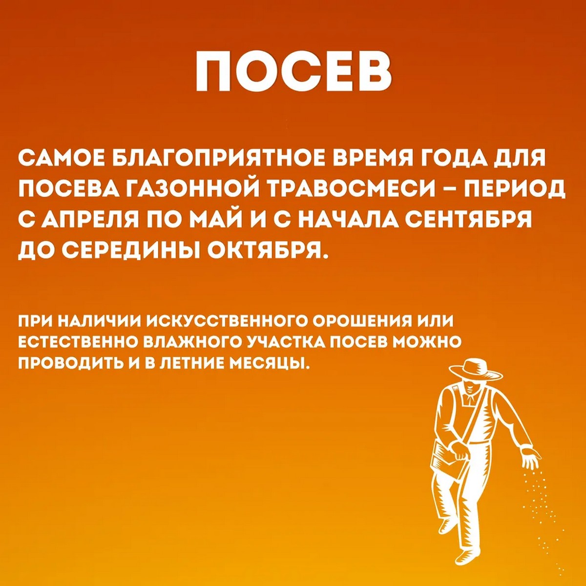 Семена газонных трав АгроСидсТрейд Лео и Тиг травосмесь универсальная зеленая лужайка 5 кг - фото 7