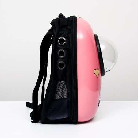 Рюкзак для переноски животных Пижон с окном для обзора «Кот учёный» розовый
