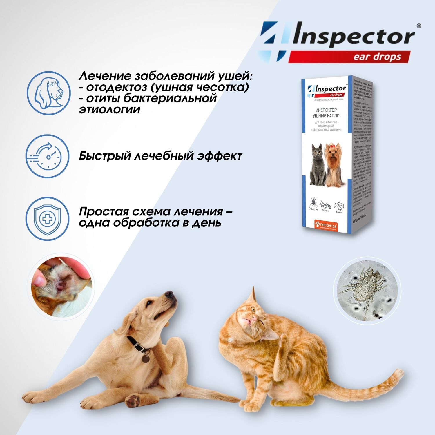 Капли для кошек и собак Inspector ушные 10мл купить по цене 629 ₽ с  доставкой в Москве и России, отзывы, фото