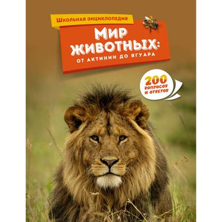 Книга Махаон Книга