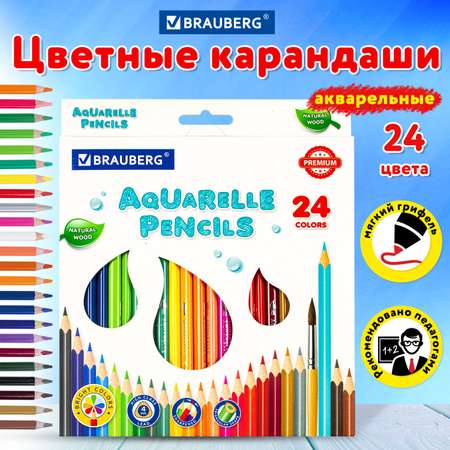 Карандаши цветные Brauberg акварельные Premium Aquarelle 24 шт