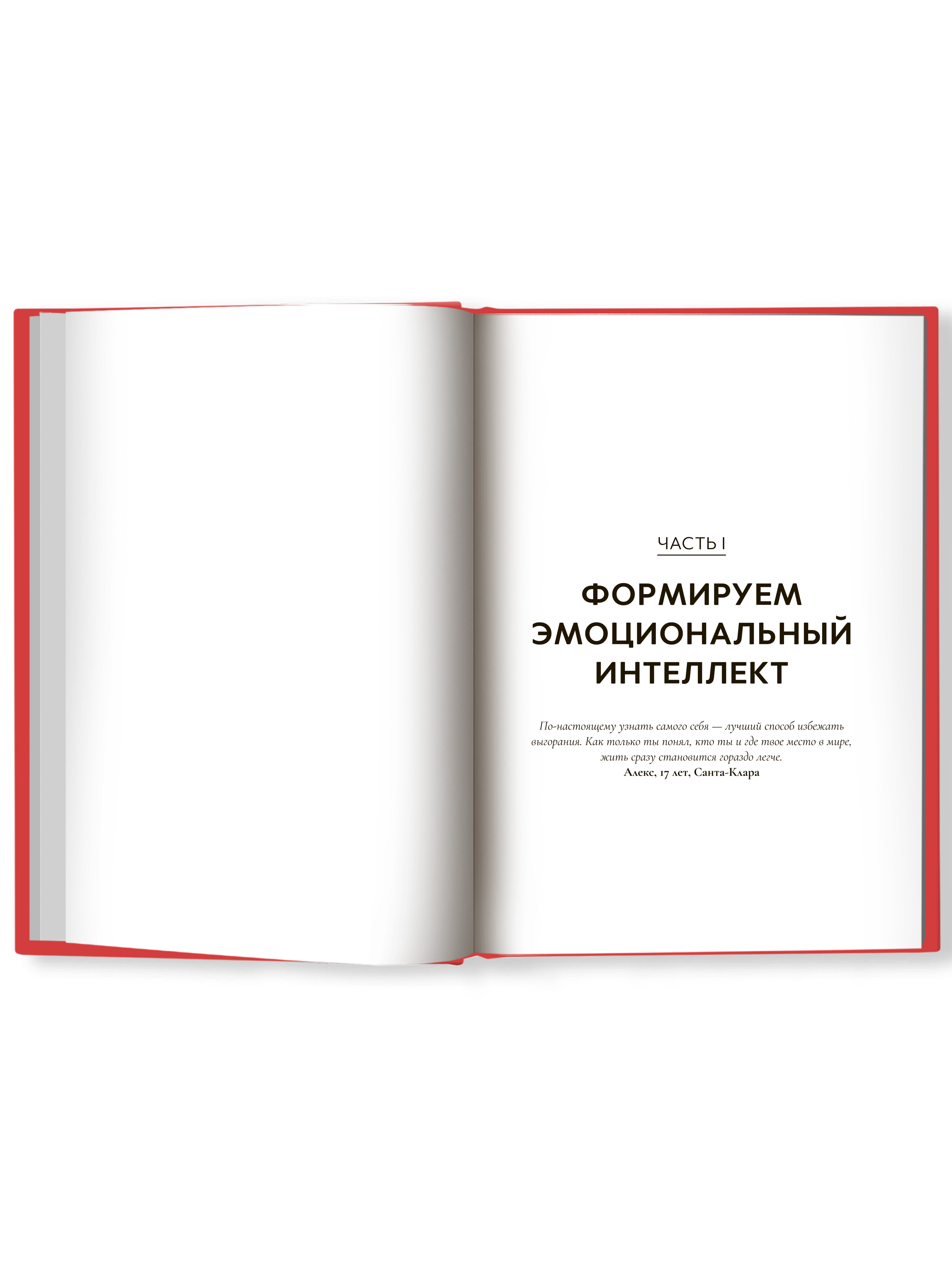 Книга Феникс Успешные дети. Как помочь своему ребенку сформировать характер победителя - фото 13