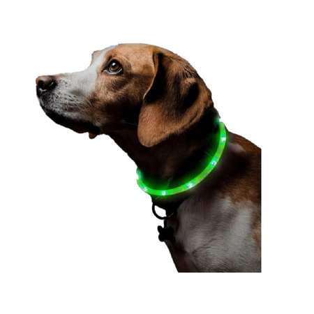Ошейник светящийся для собак ZDK ZooWell со светодиодами зеленый 70 см