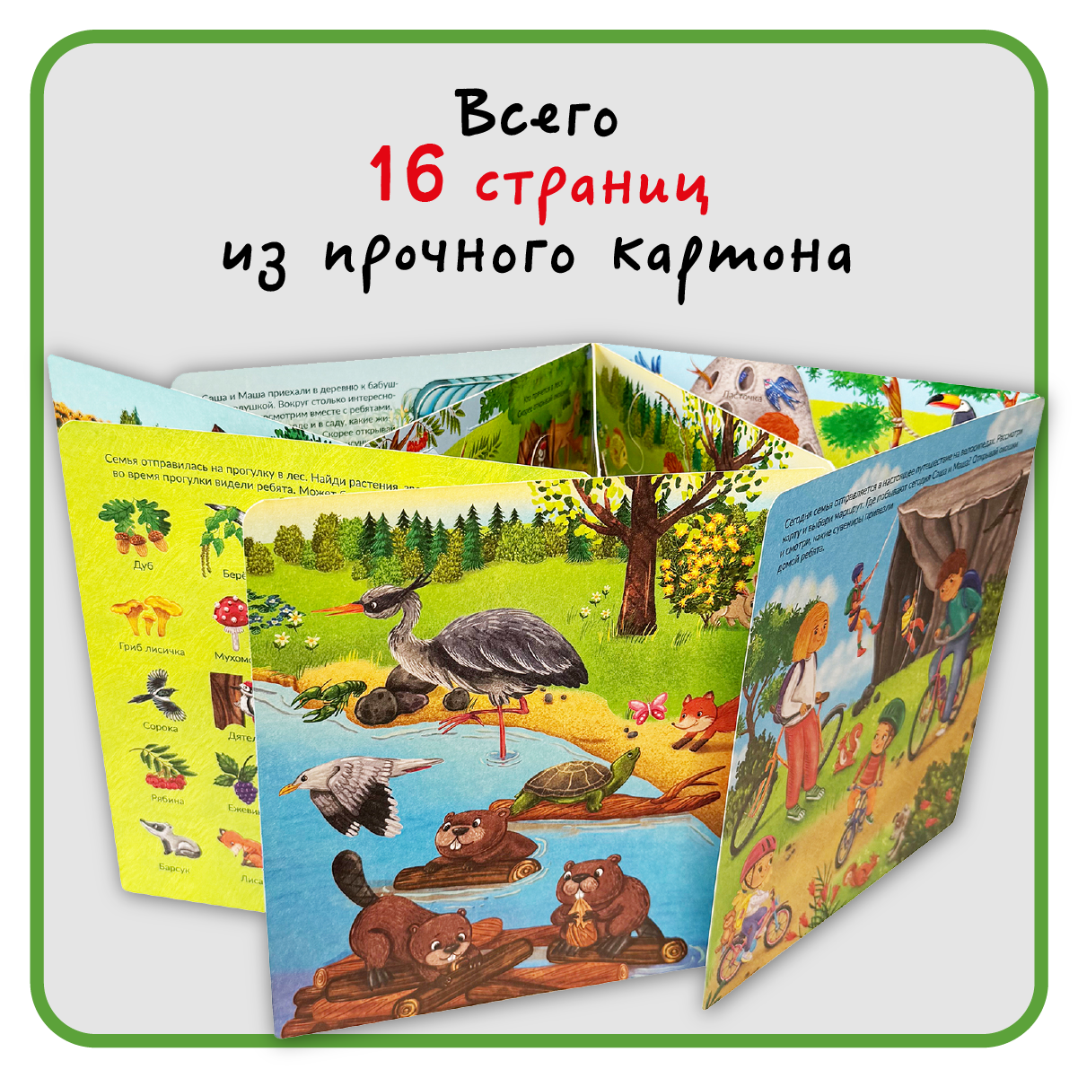 Книга с окошками Виммельбух BimBiMon Я еду за город - фото 2