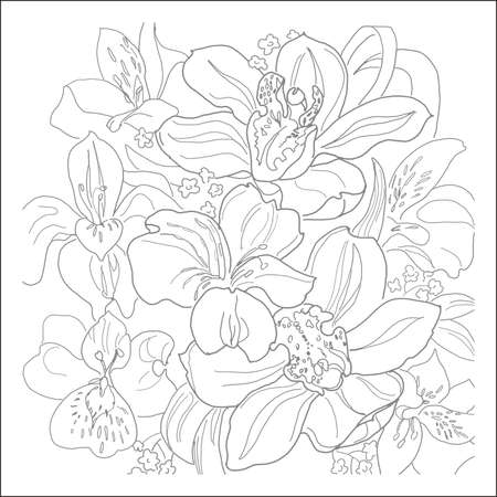 Раскраска Hatber Сюжеты для акварели-Чудесные цветы
