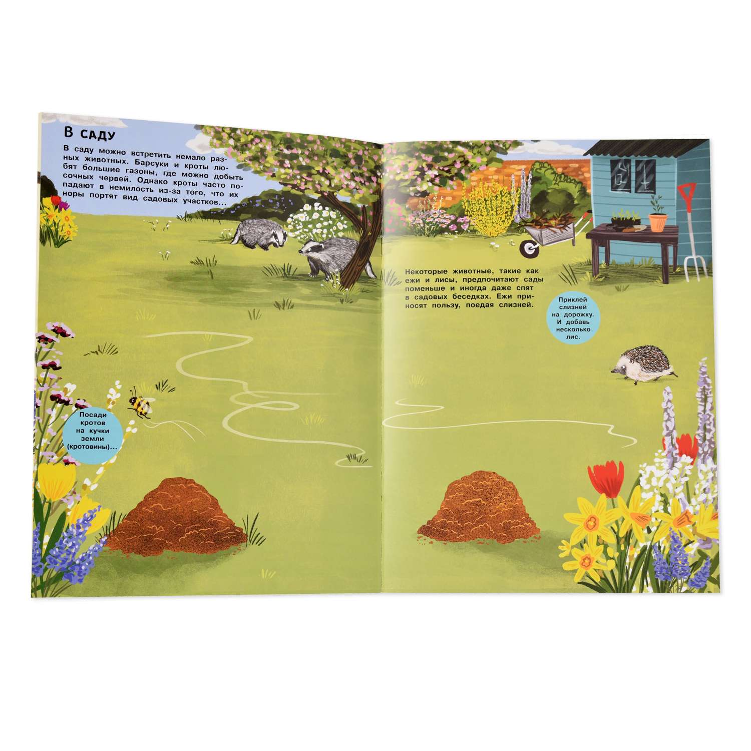Книга с наклейками Лабиринт В гости к природе: Заяц ежик крот и прочий звериный народ - фото 2