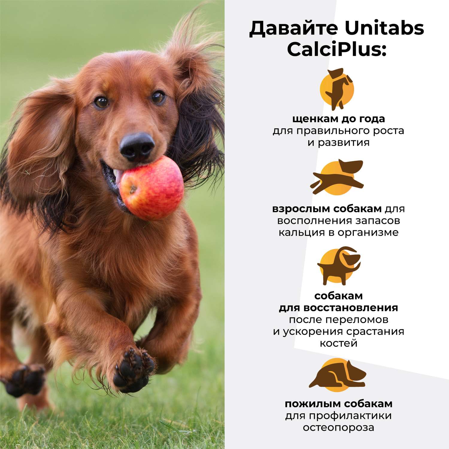 Витамины для собак Unitabs Calci Plus с Q10 100таблеток - фото 4