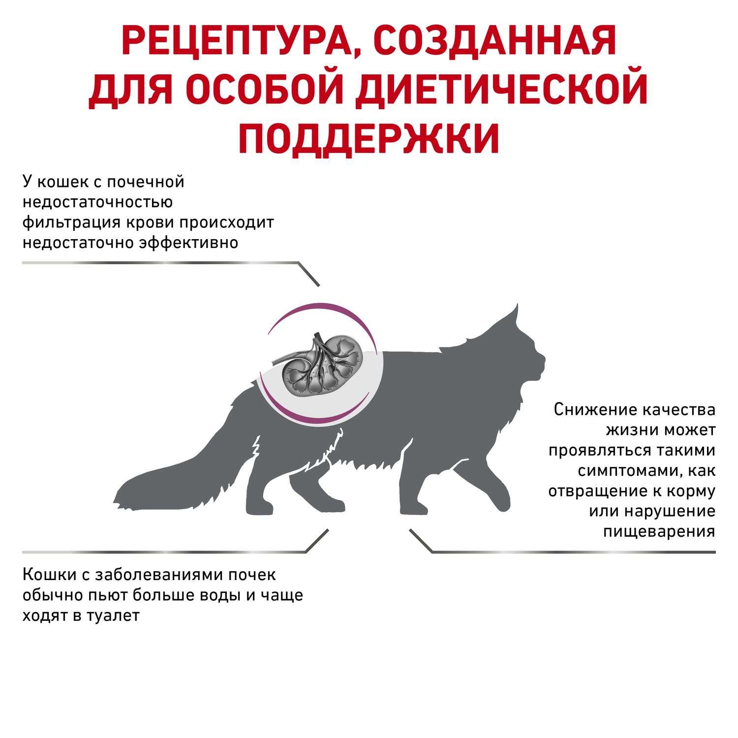 Корм для кошек ROYAL CANIN Renal RF23 лечение заболеваний почек 4кг - фото 3