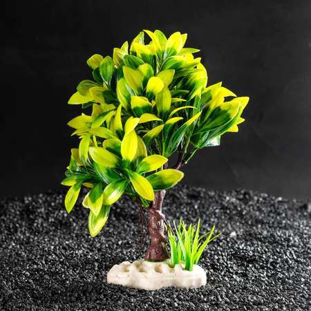 Растение для аквариума Пижон Аква 15.5 х 12 х 20.5 см