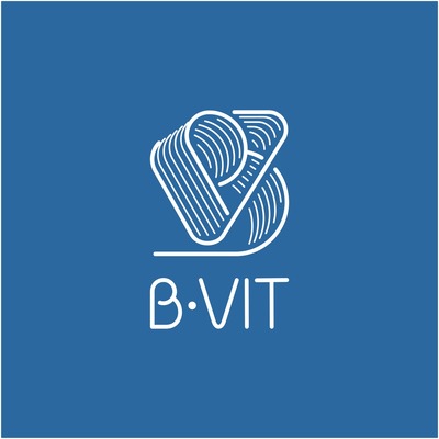 B-VIT