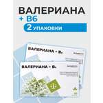 Биологически активная добавка Здравсити Валериана + В6 набор 2 упаковки по 50 таблеток