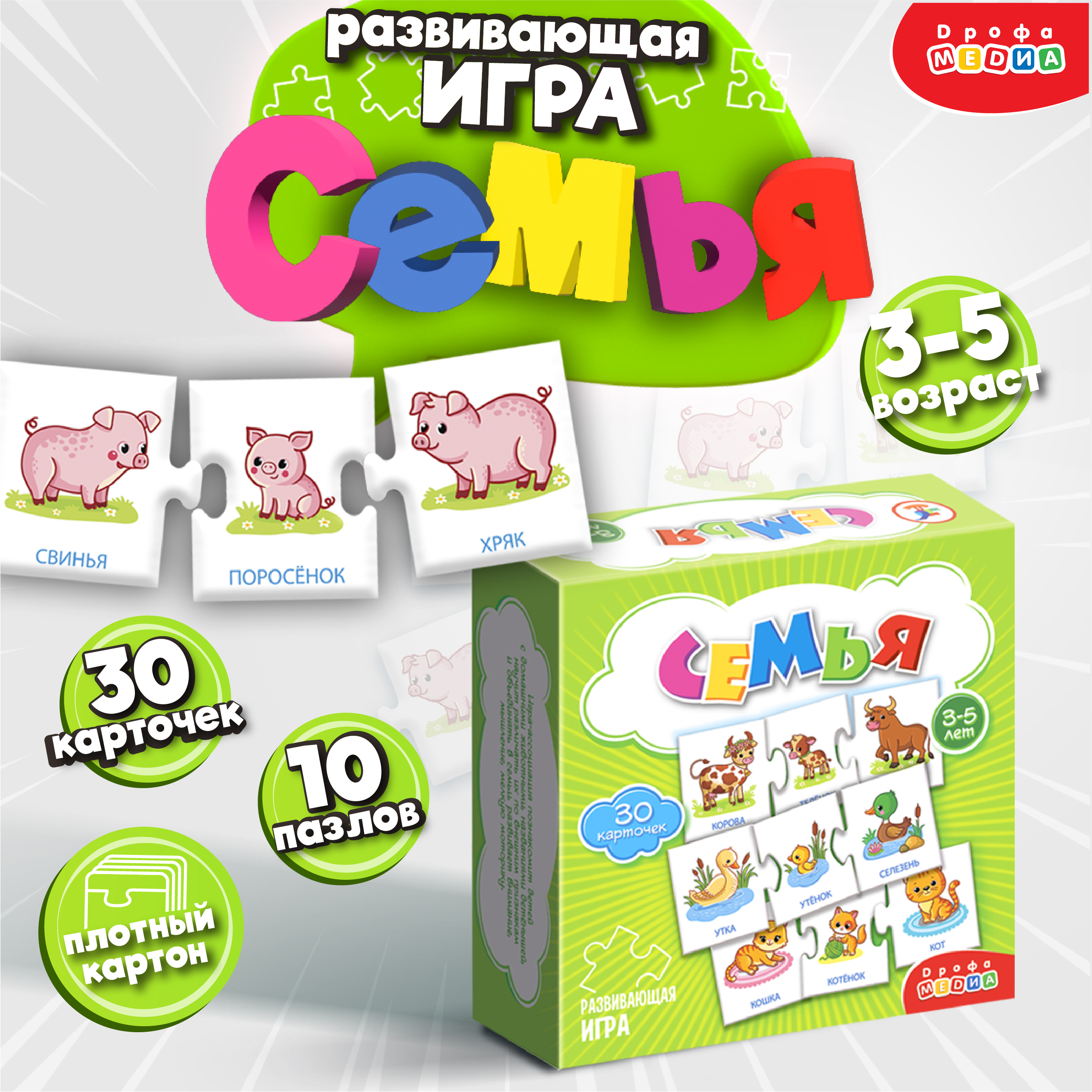 Игра развивающая Дрофа-Медиа Семья 4209 - фото 2