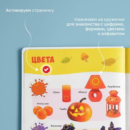 Говорящая книжка BertToys большая нажималка Первые знания