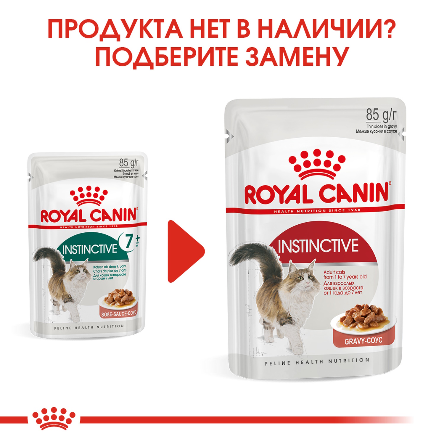 Влажный корм для кошек ROYAL CANIN 0.085 кг (полнорационный) - фото 9