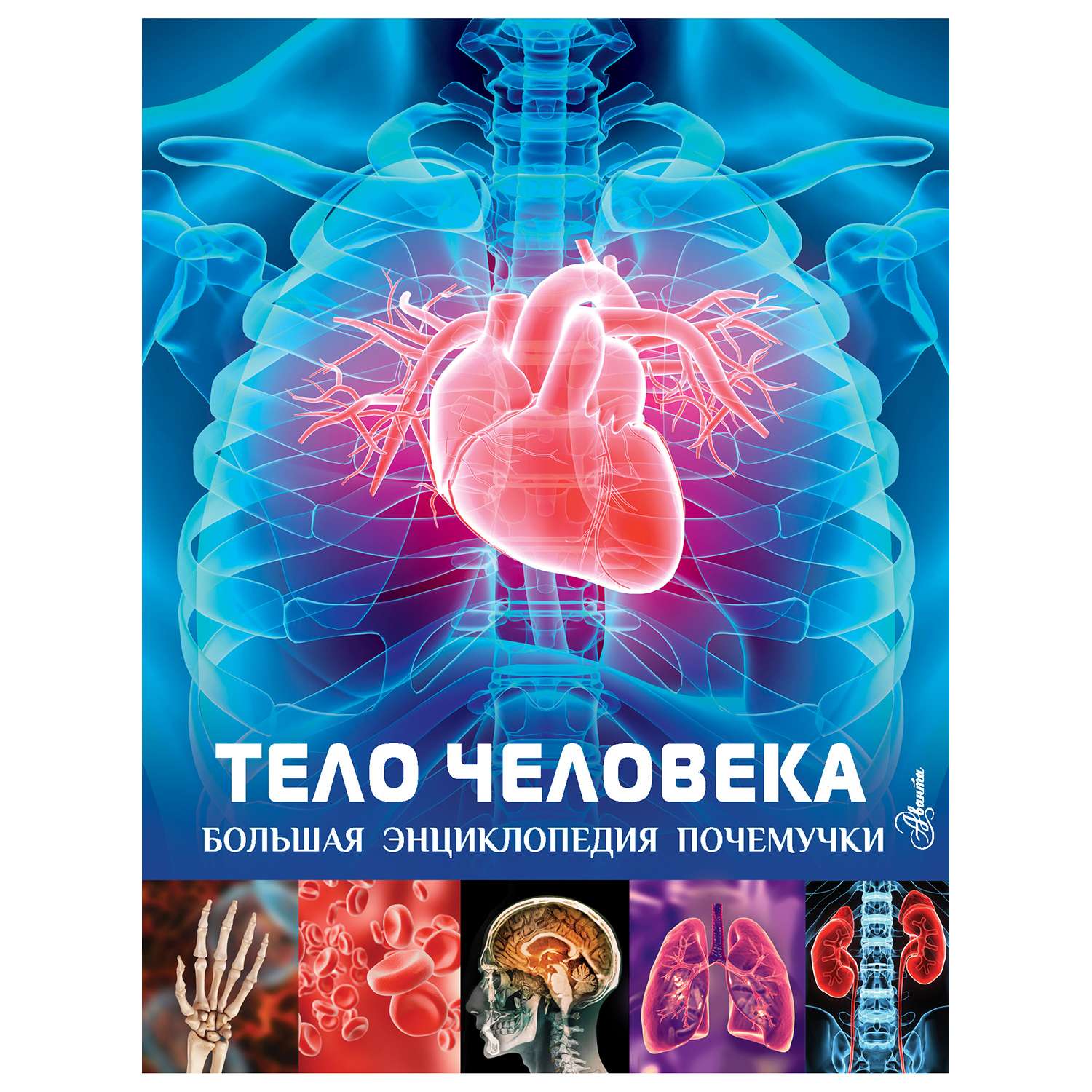 Выставка Тело человека. The Human Body Exhibition