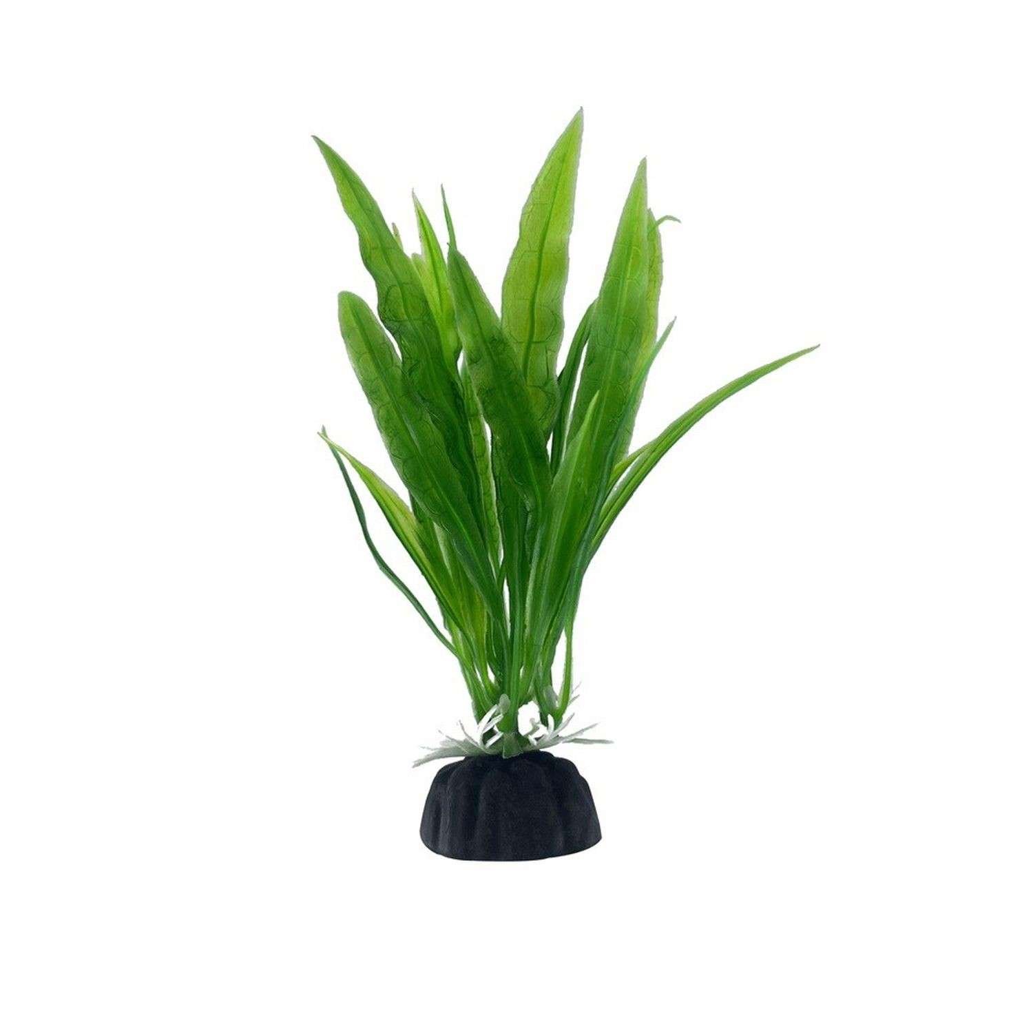 Аквариумное растение Rabizy водоросли 3х13 см - фото 2