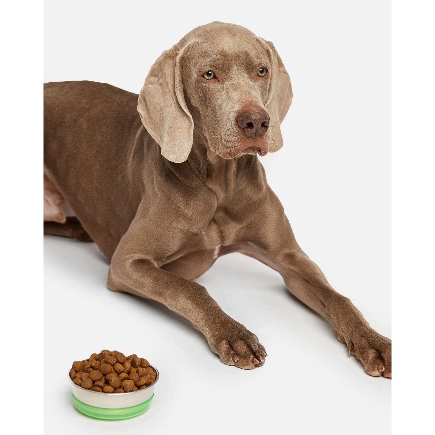 Корм для собак Carnica 3кг с ягненком для здоровья суставов для средних и крупных пород сухой - фото 13