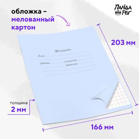 Тетради школьные в клетку ПАНДАРОГ 24 л картонная обложка набор 10 шт голубые