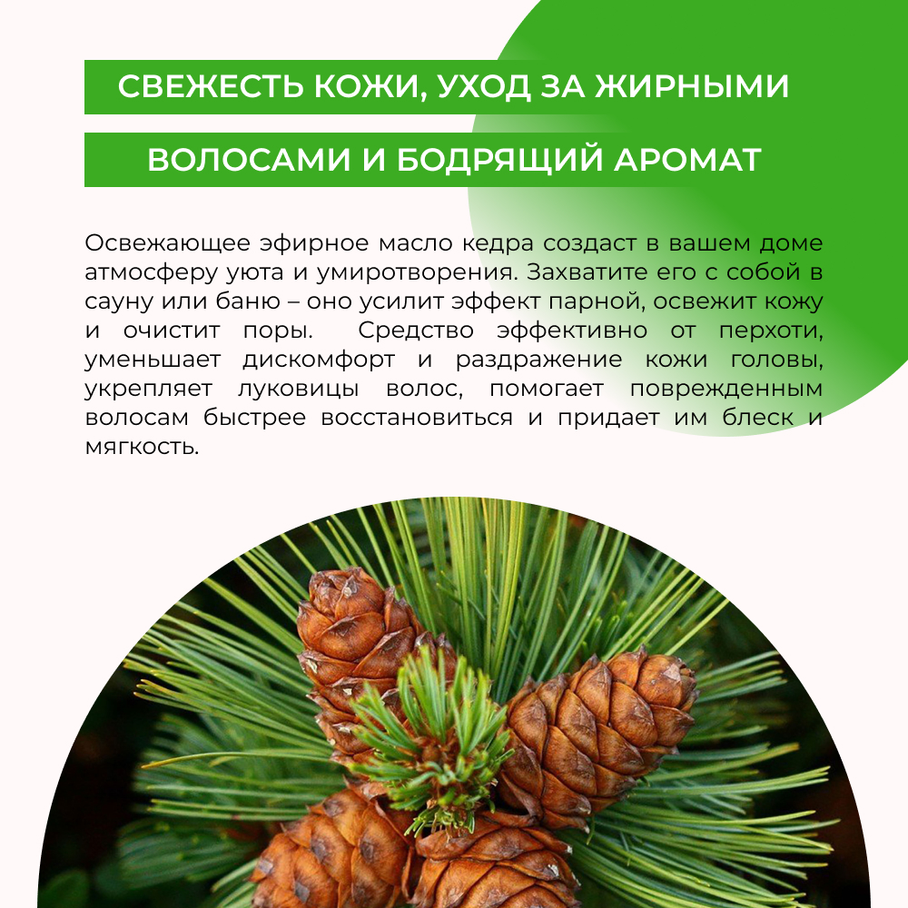 Эфирное масло Siberina натуральное «Кедра» для тела и ароматерапии 8 мл - фото 5