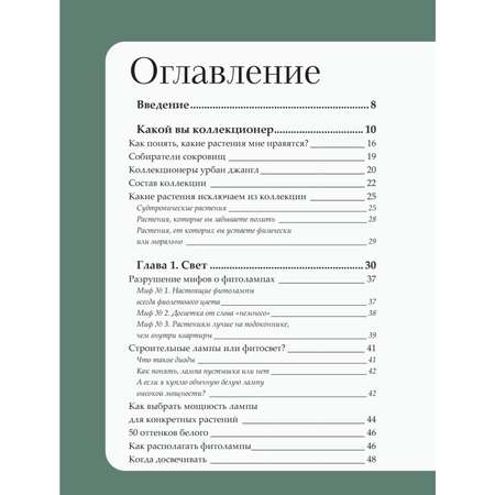 Книга БОМБОРА Заклинатель комнатных растений