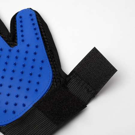 Рукавица-щетка Пижон для шерсти на правую руку из неопрена с удлиненными зубчиками синяя