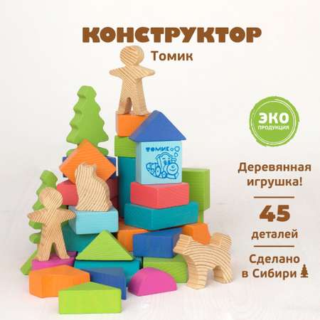 Конструктор деревянный Томик Цветной 45 деталей