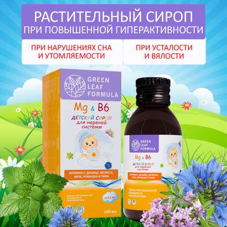 Детский сироп успокоительный Green Leaf Formula Магний В6 для детей от 3 лет 200 мл