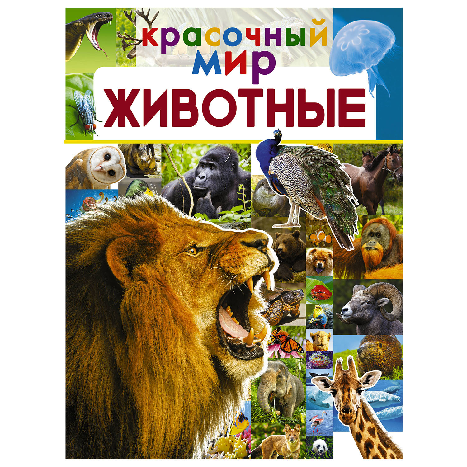 Книга АСТ Красочный Мир Животные - фото 1