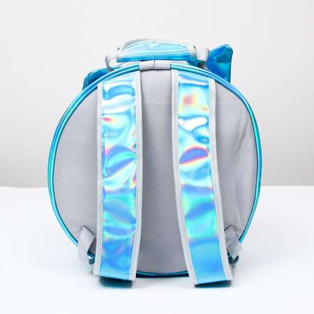Рюкзак для переноски животных Пижон круглый прозрачный 26 см голубой