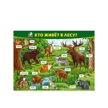Плакат обучающий на стену Мир поздравлений какие звери живут в лесу животные с картинками и названиями А2