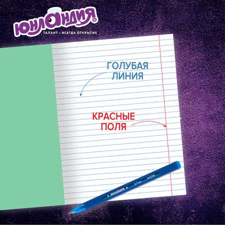 Тетрадь Юнландия косая линейка 12 лист. 30 шт.