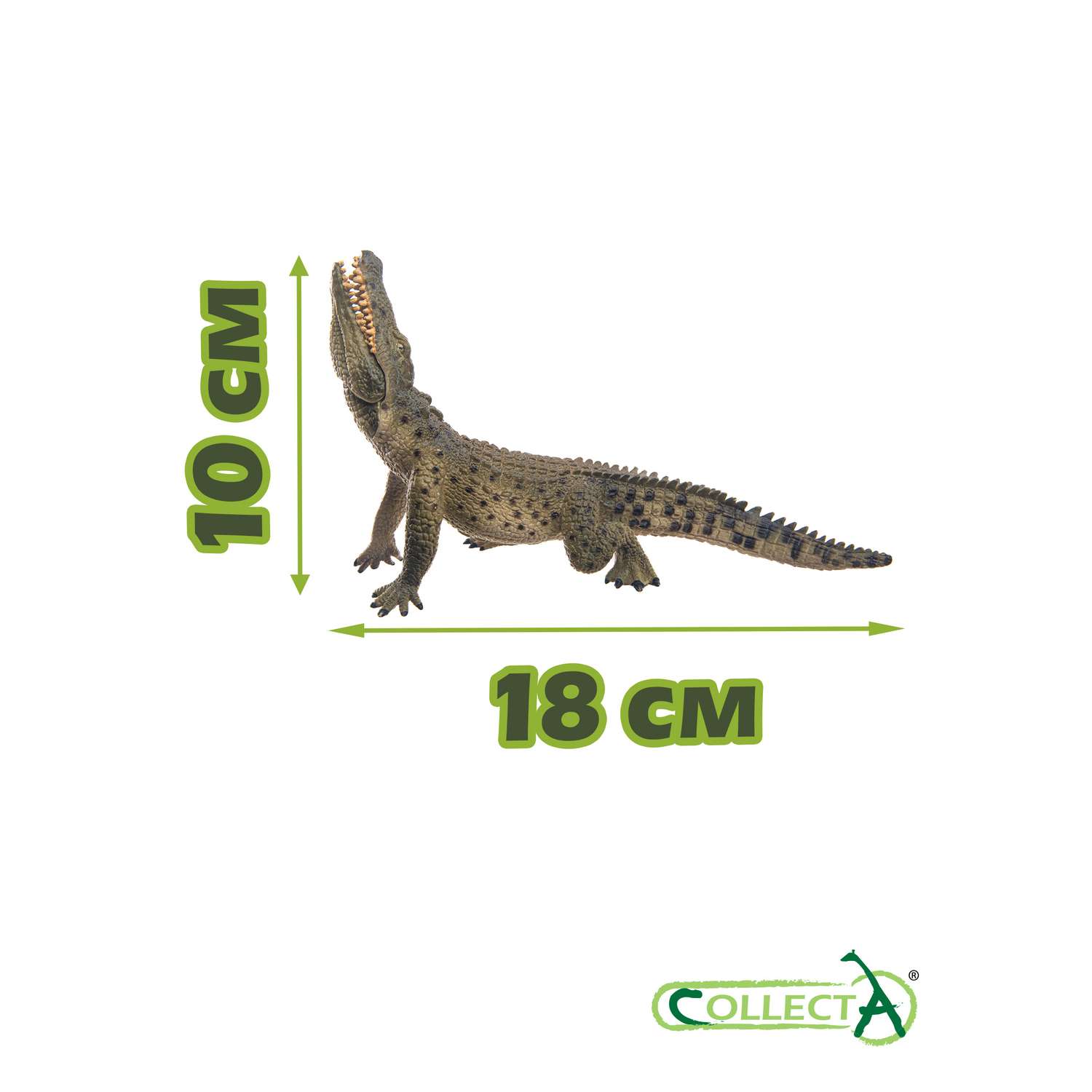 Фигурка животного Collecta Нильский крокодил - фото 2